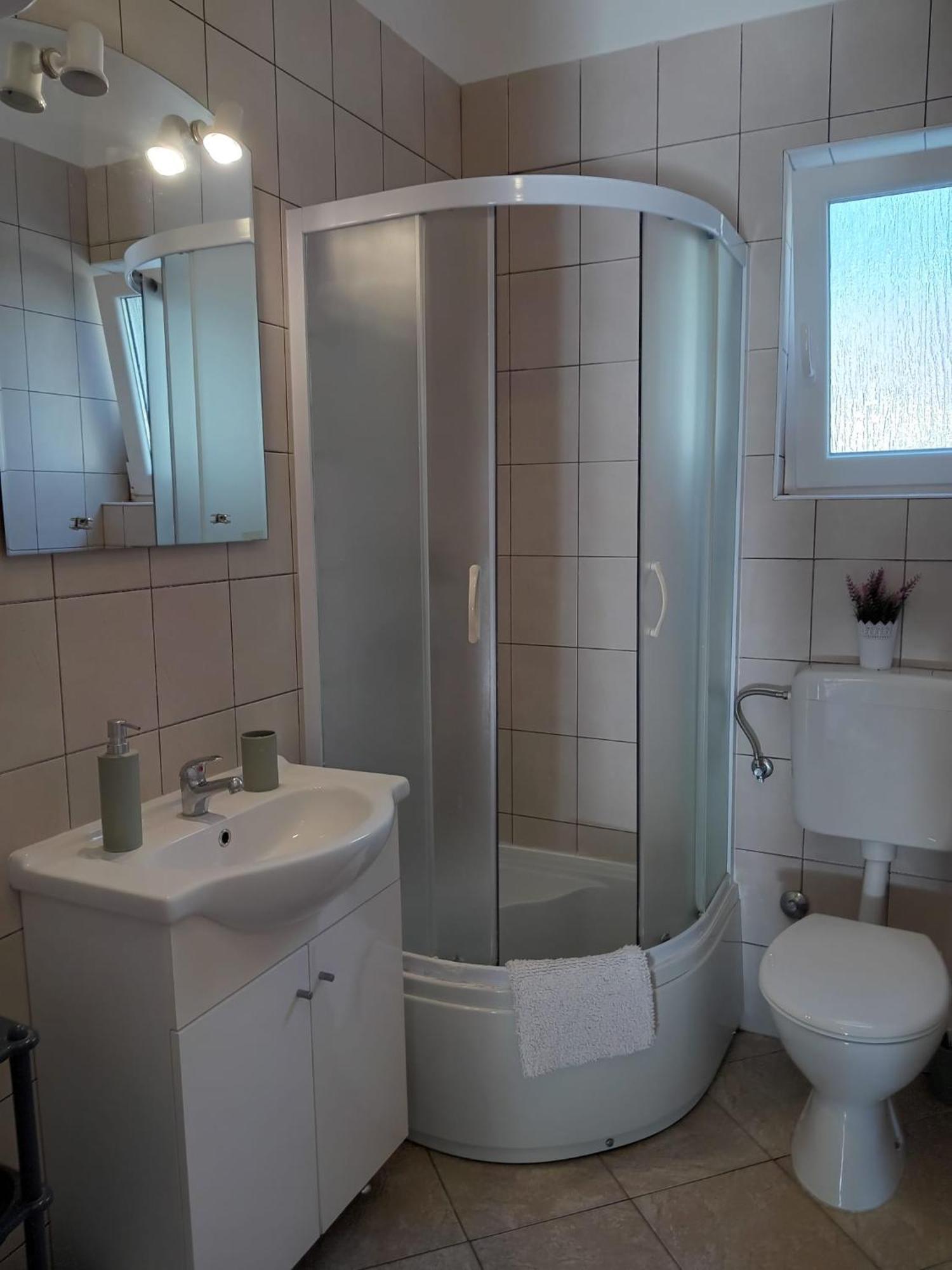 סלינה Apartmani Goga מראה חיצוני תמונה