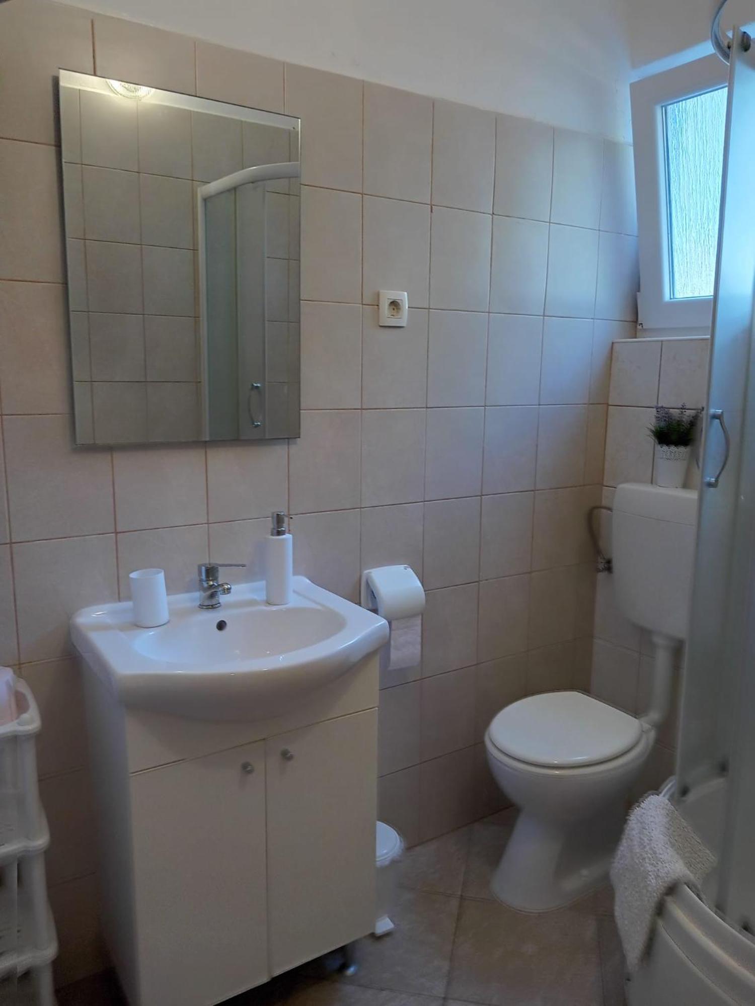 סלינה Apartmani Goga מראה חיצוני תמונה