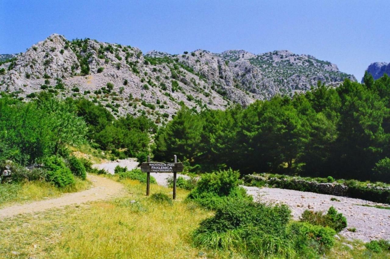 סלינה Apartmani Goga מראה חיצוני תמונה